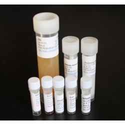 Human Endothelial Cell Medium Kit Only
